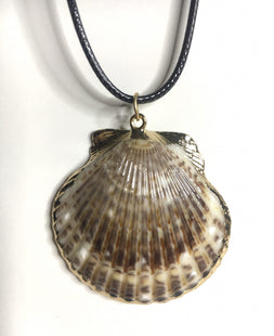 Seashell Necklace