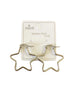 Stainless Steel Silver Star Earrings